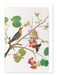 Ezen - Orange bird on orchid Branch (1778) - Greeting Card - Front