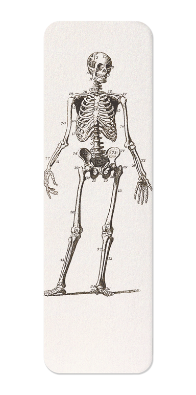 Ezen - Skeletons (C.1830-C.1850) - Bookmark - Front