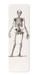 Ezen - Skeletons (C.1830-C.1850) - Bookmark - Front