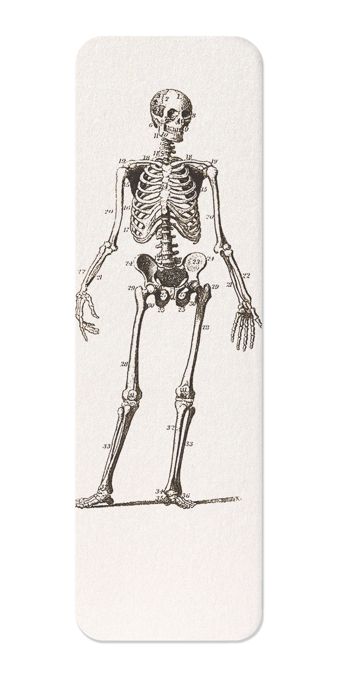 Ezen - Skeletons (C.1830-C.1850) - Bookmark - Front