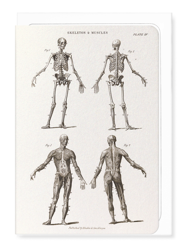 Ezen - Skeletons (C.1830-C.1850) - Greeting Card - Front