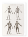 Ezen - Skeletons (C.1830-C.1850) - Greeting Card - Front