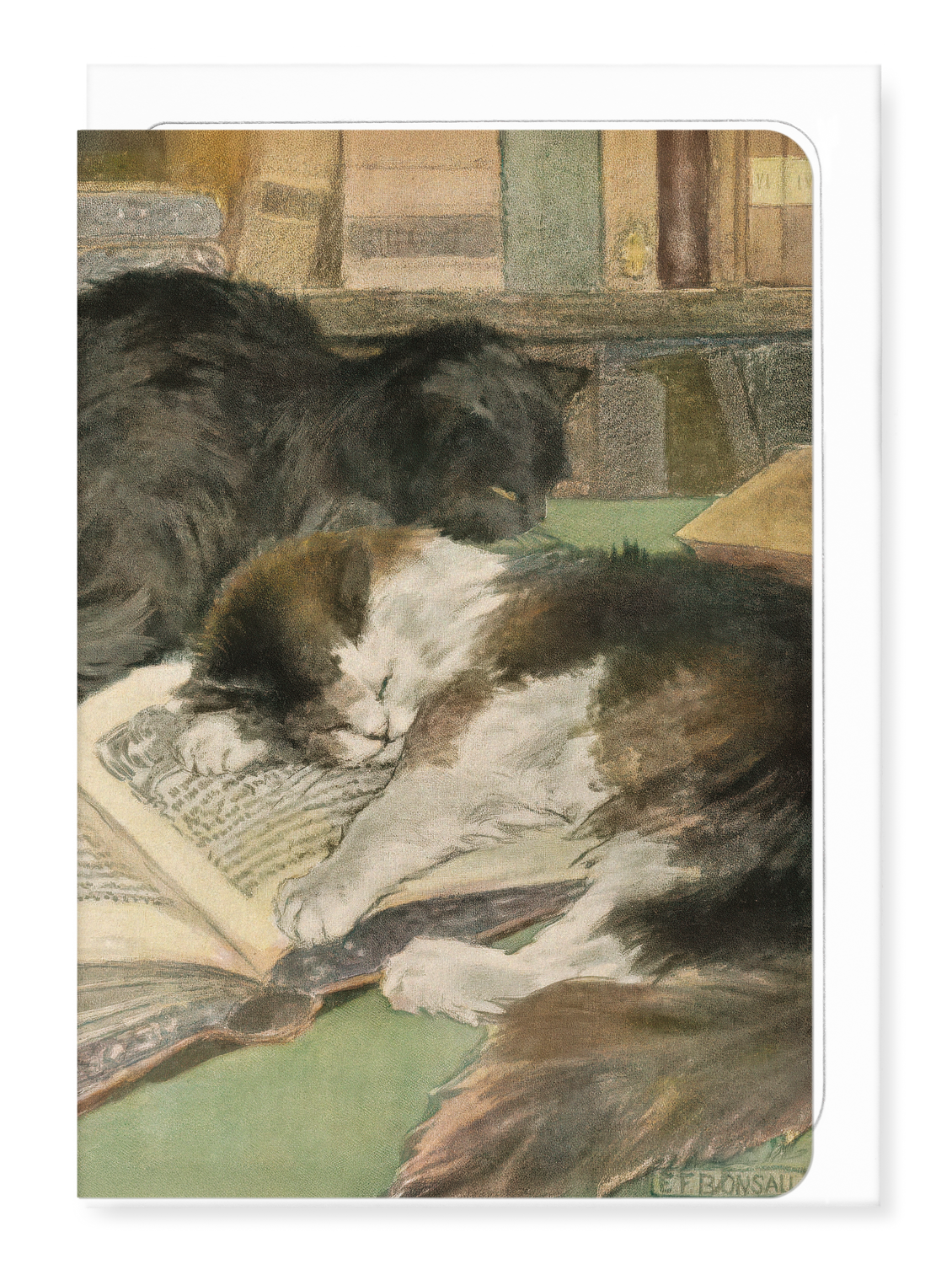 Ezen - Sleeping Cats and Books (1903) - Greeting Card - Front