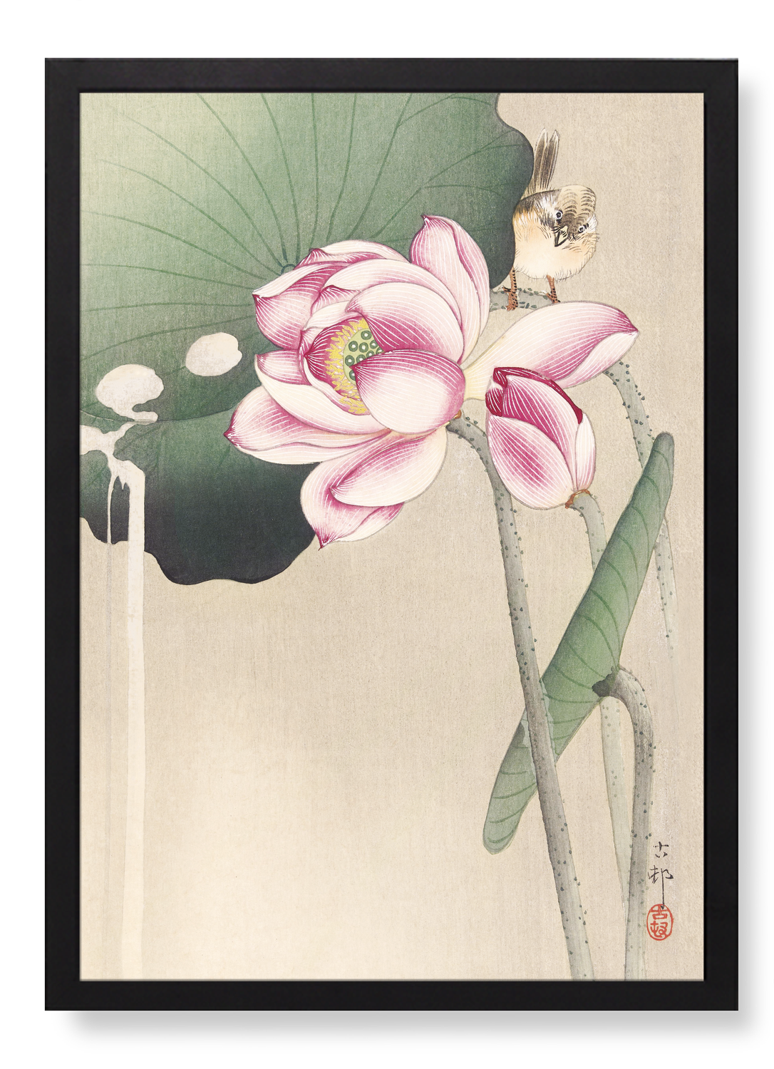 Print in the frame