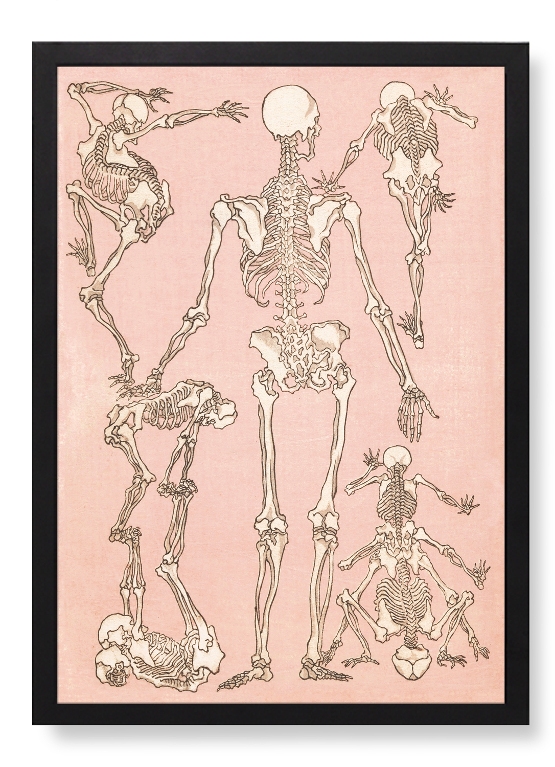 Print in the frame