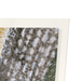 Detail from print
