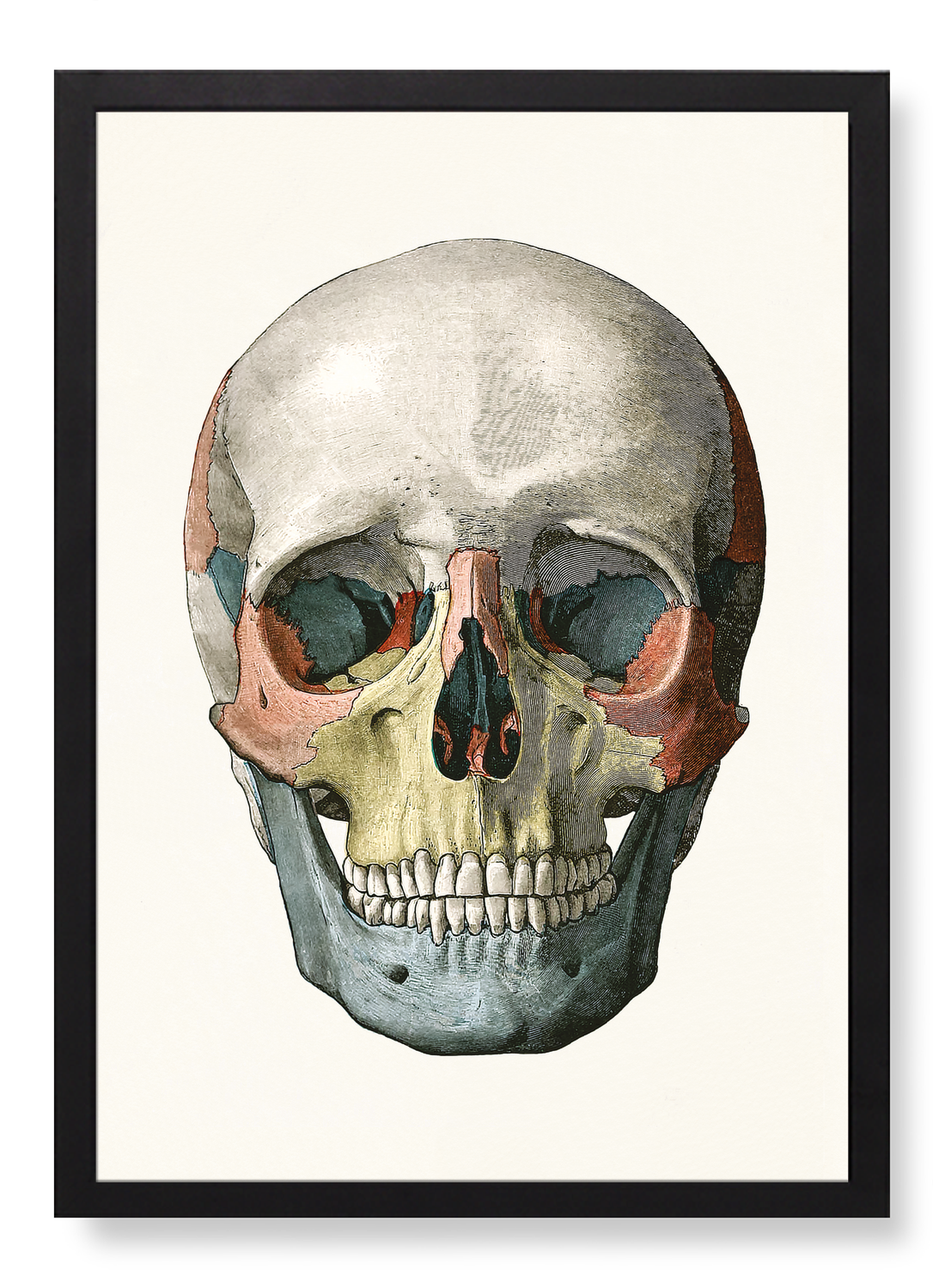 Print in the frame