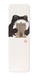 Ezen - The San Diego Museum of Art Ezen Frog - Bookmark - Front