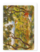 Ezen - The Vineyards at Cagnes (1908) - Greeting Card - Front