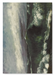 The print