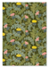 The print