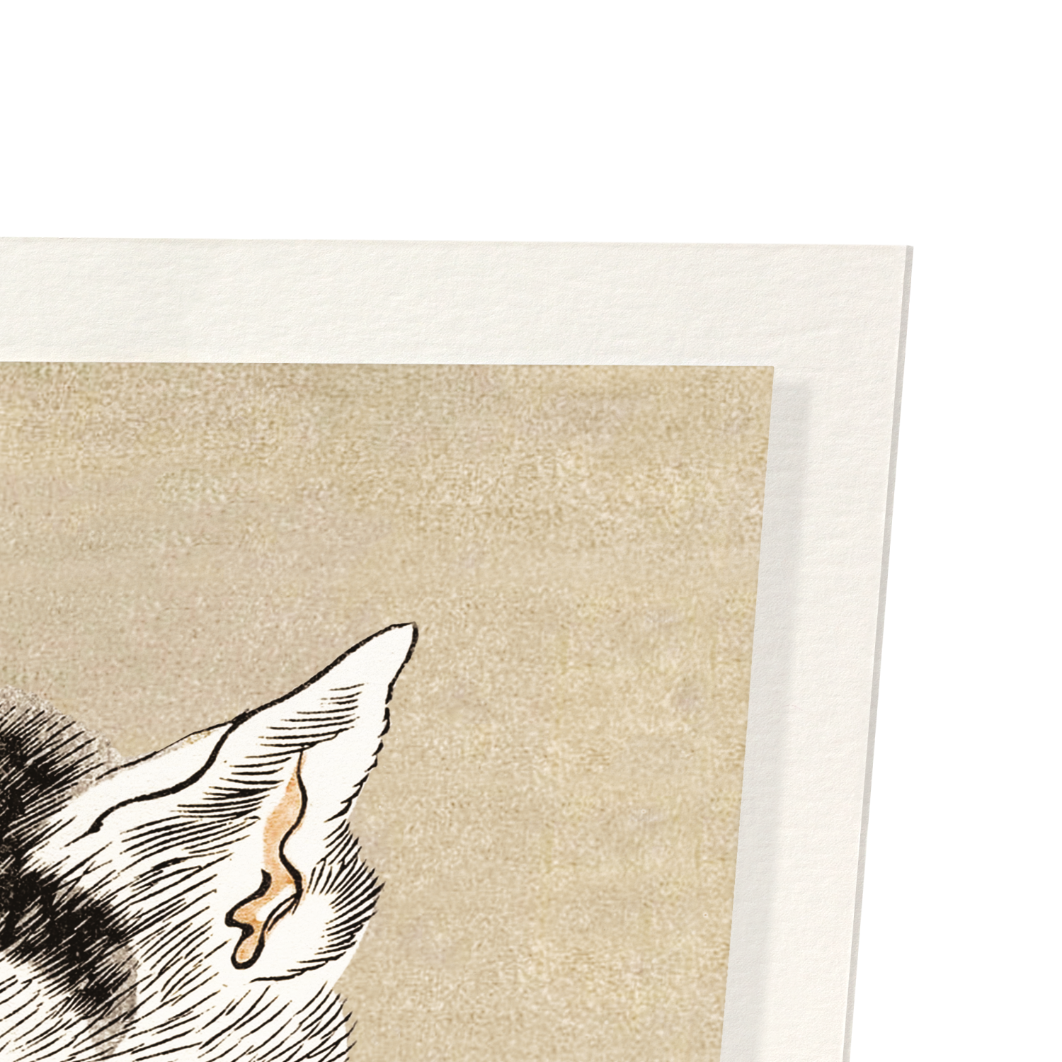 Detail from print