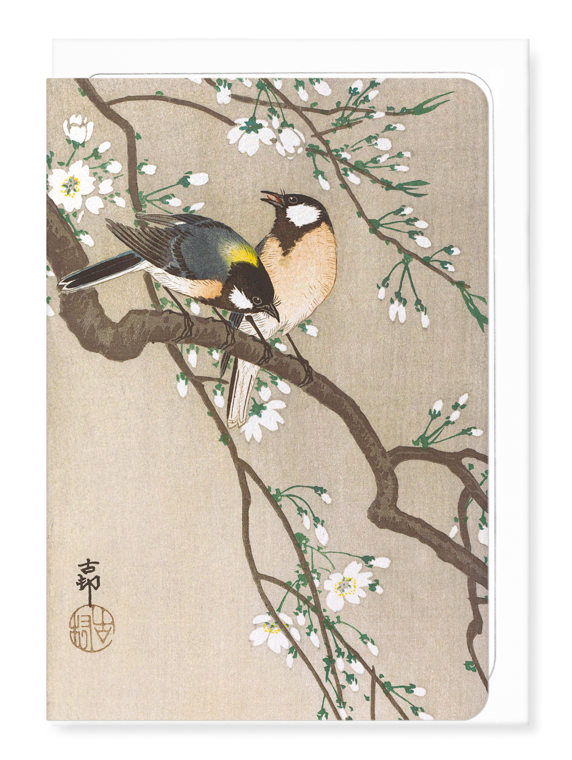 Ezen - Tit birds on cherry branch - Greeting Card - Front
