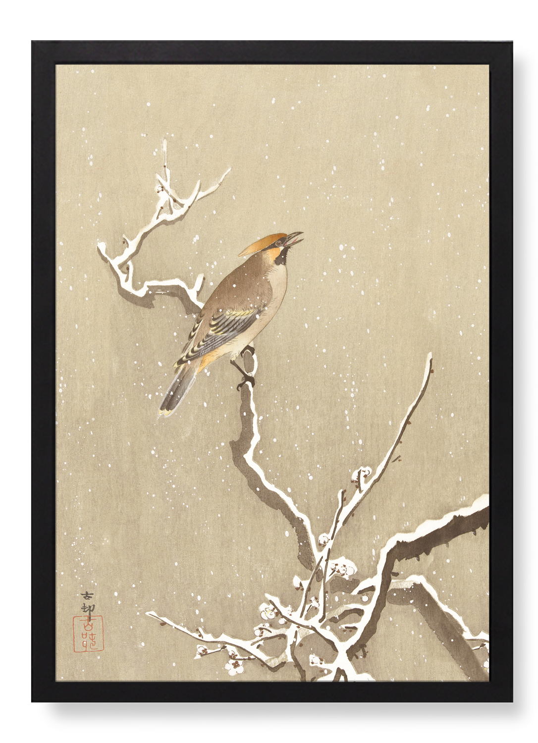 Print in the frame