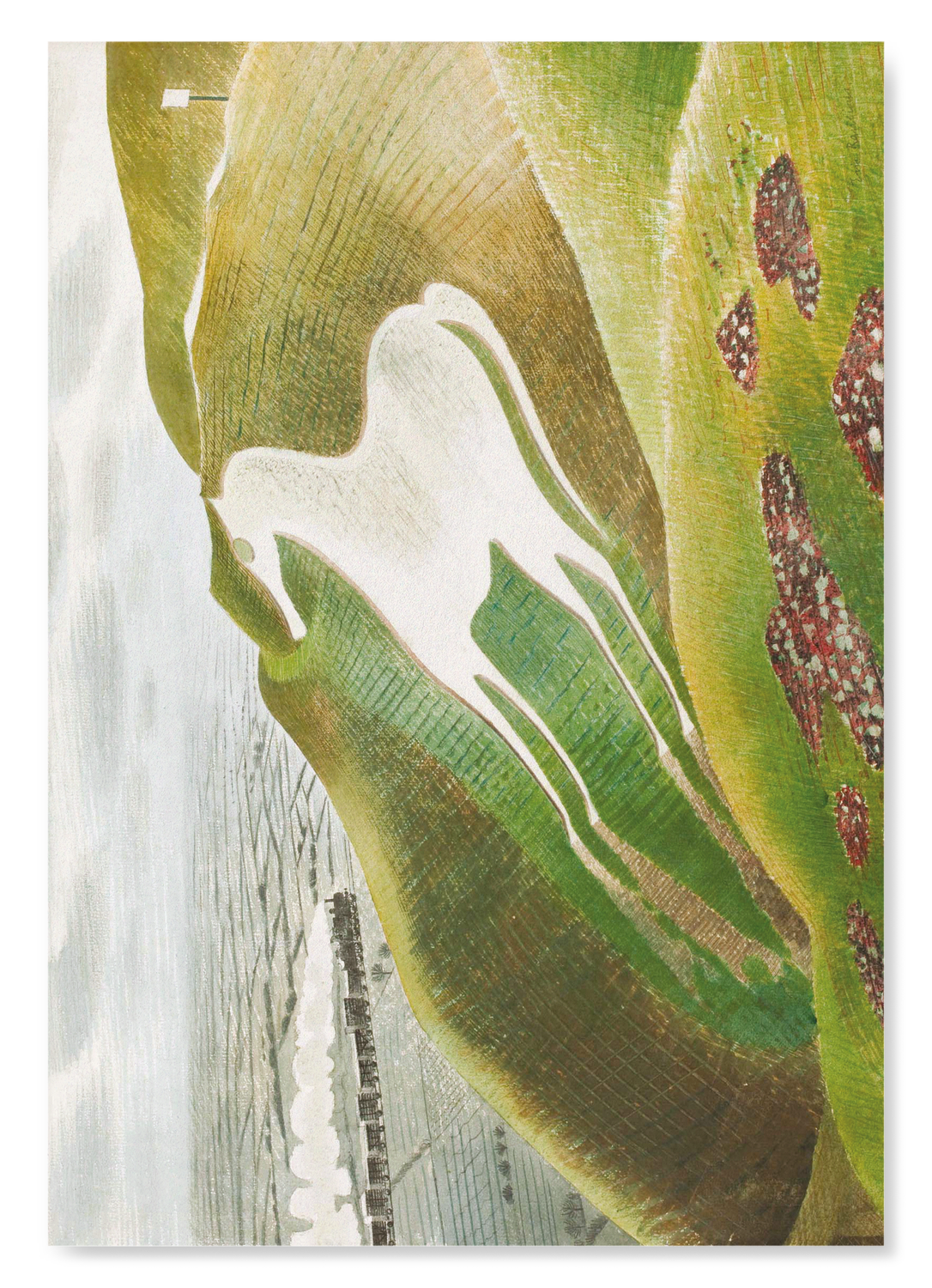 The print