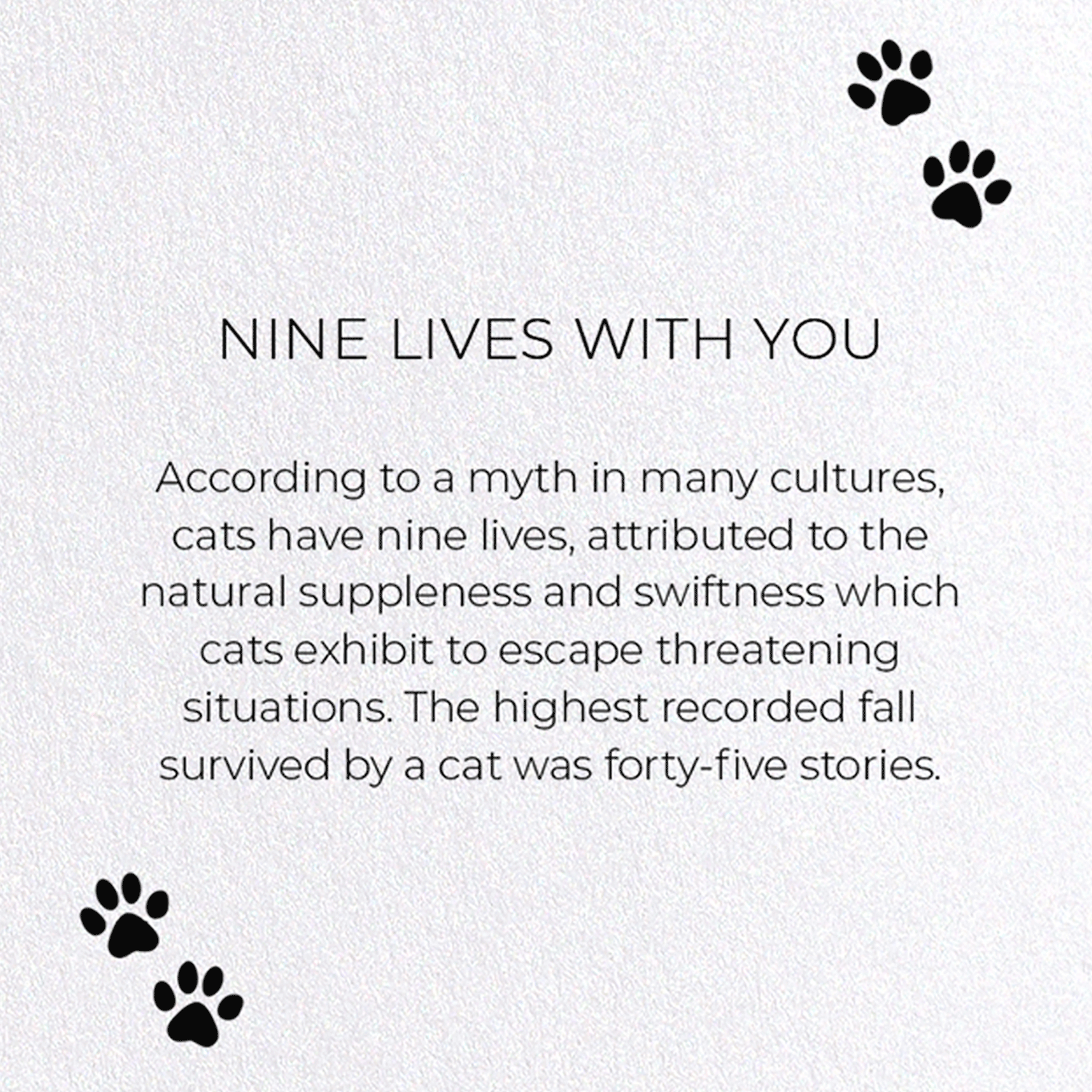 NINE LIVES WITH YOU