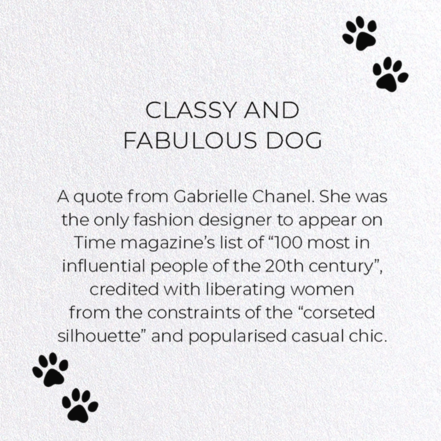 CLASSY AND FABULOUS DOG