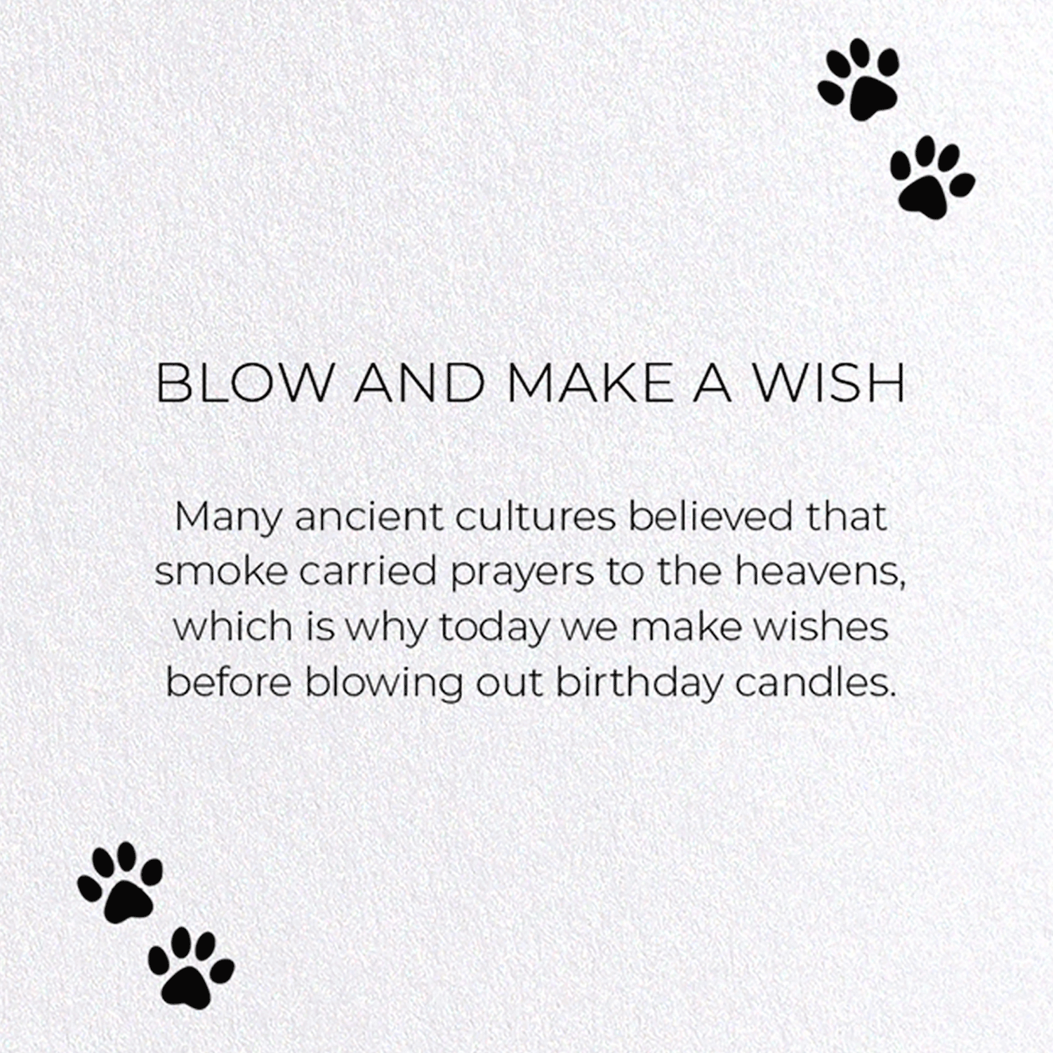 BLOW AND MAKE A WISH