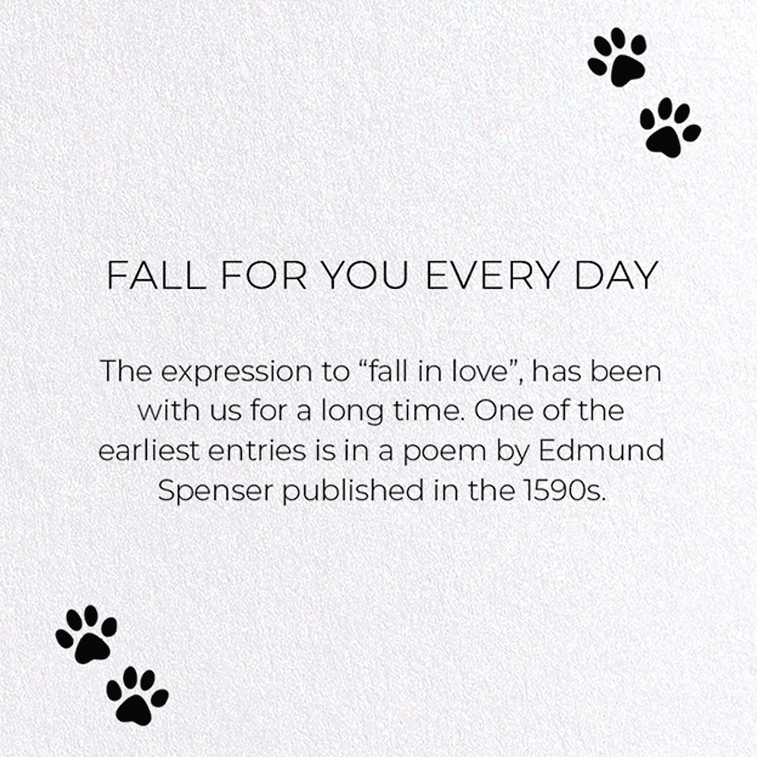 FALL FOR YOU EVERY DAY