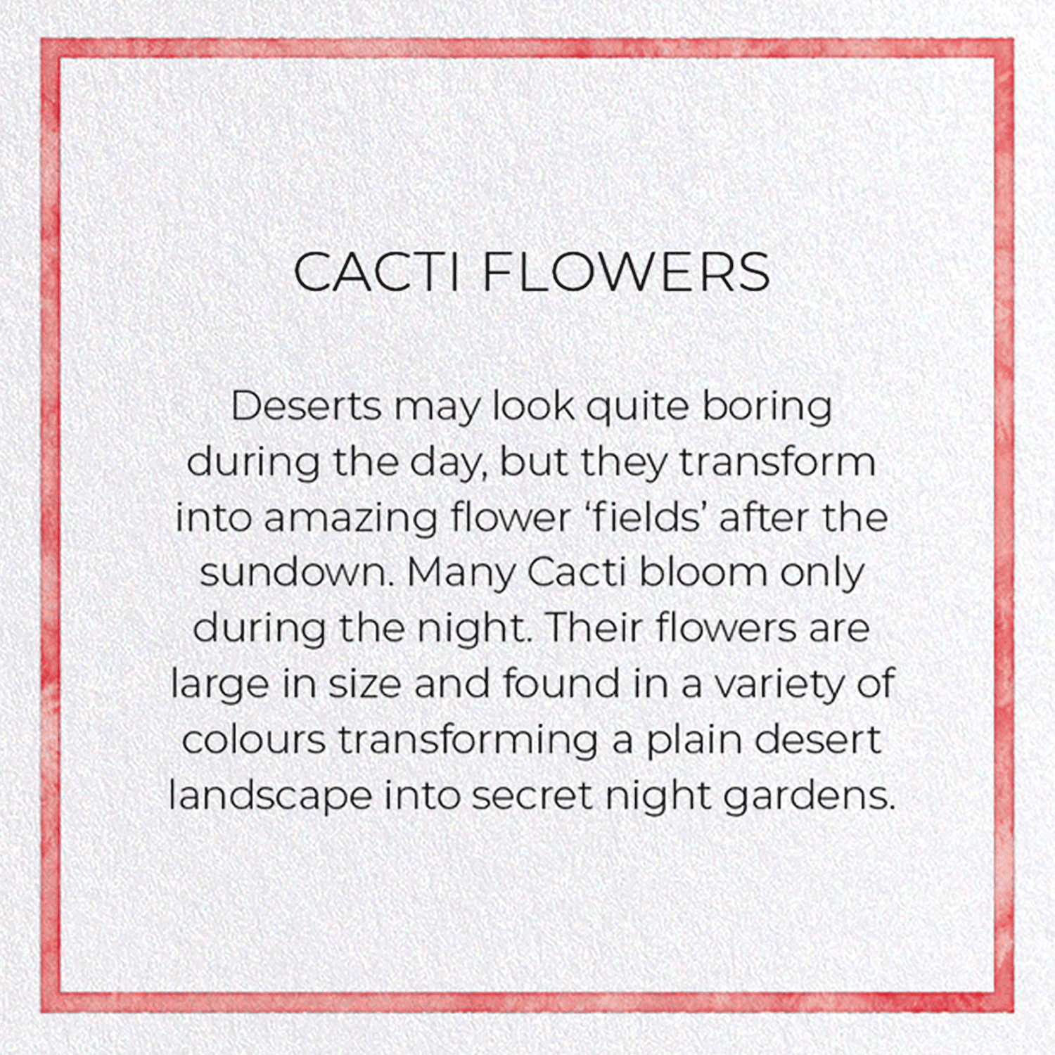 CACTI FLOWERS