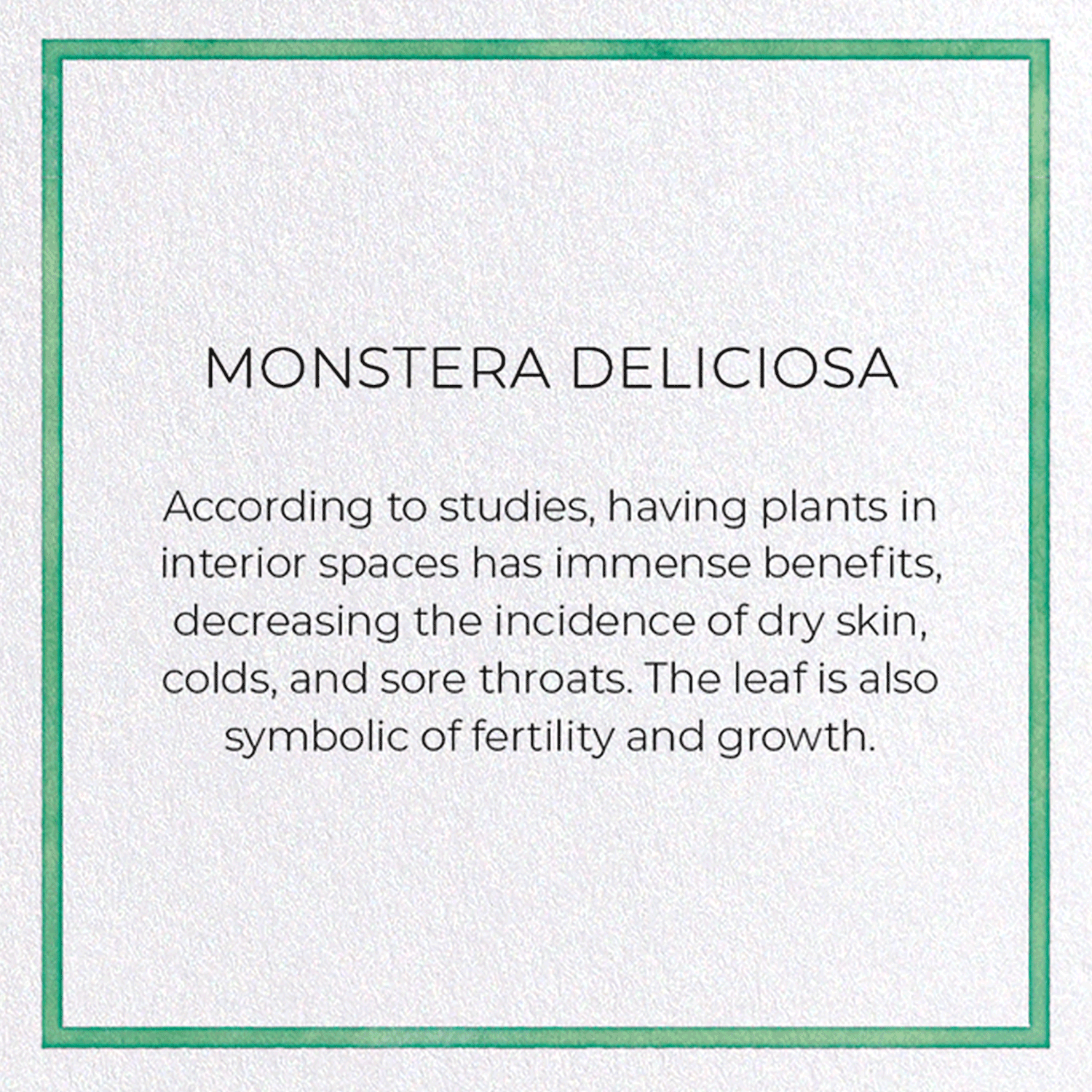 monstera benefits MONSTERA DELICIOSA — Ezen Designs