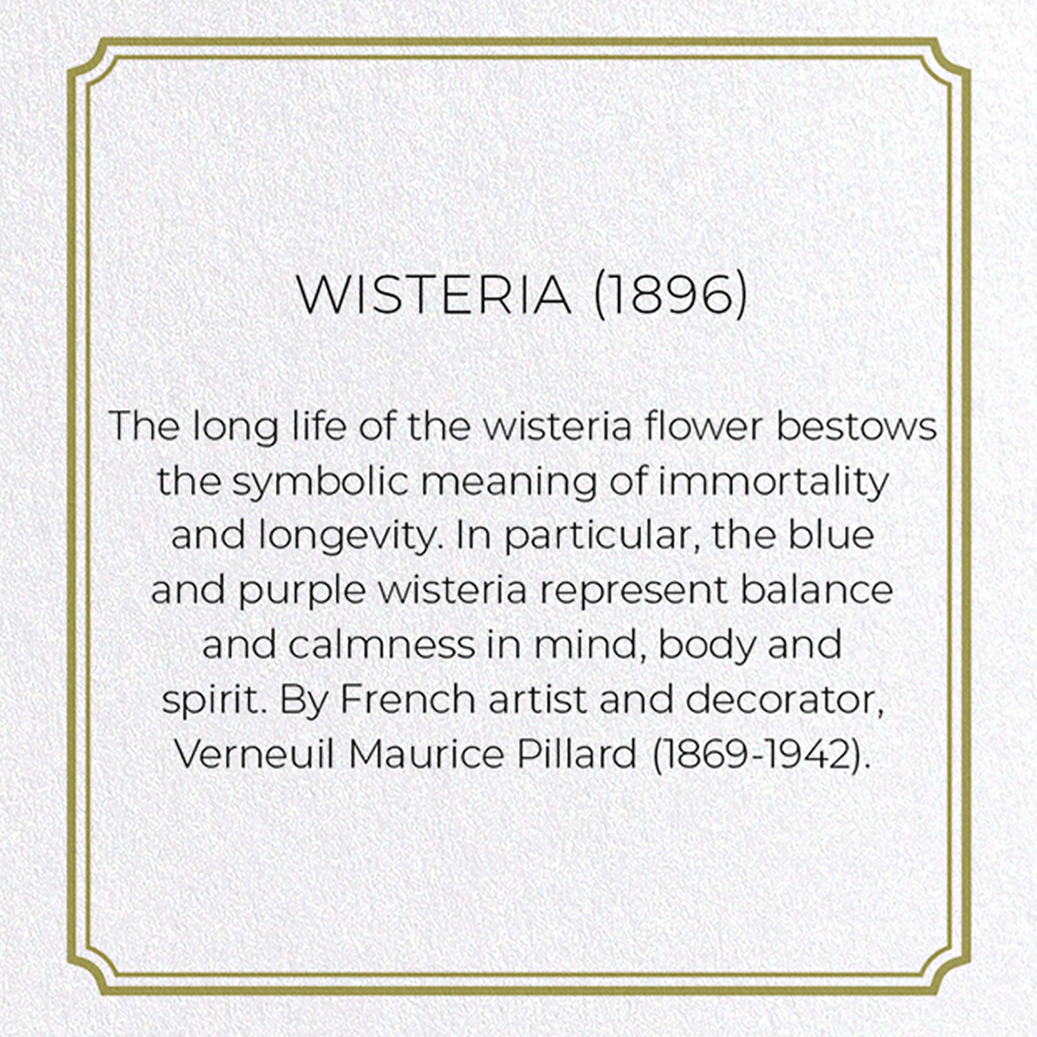 WISTERIA (1896)