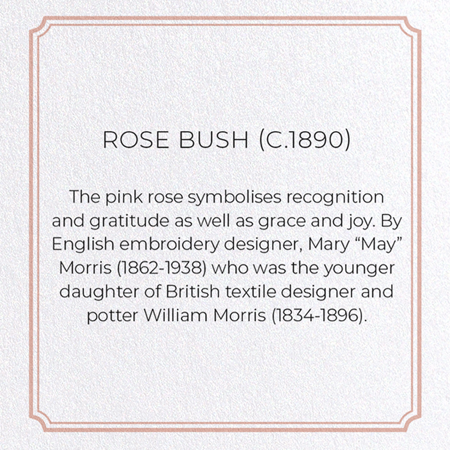 ROSE BUSH (C.1890)