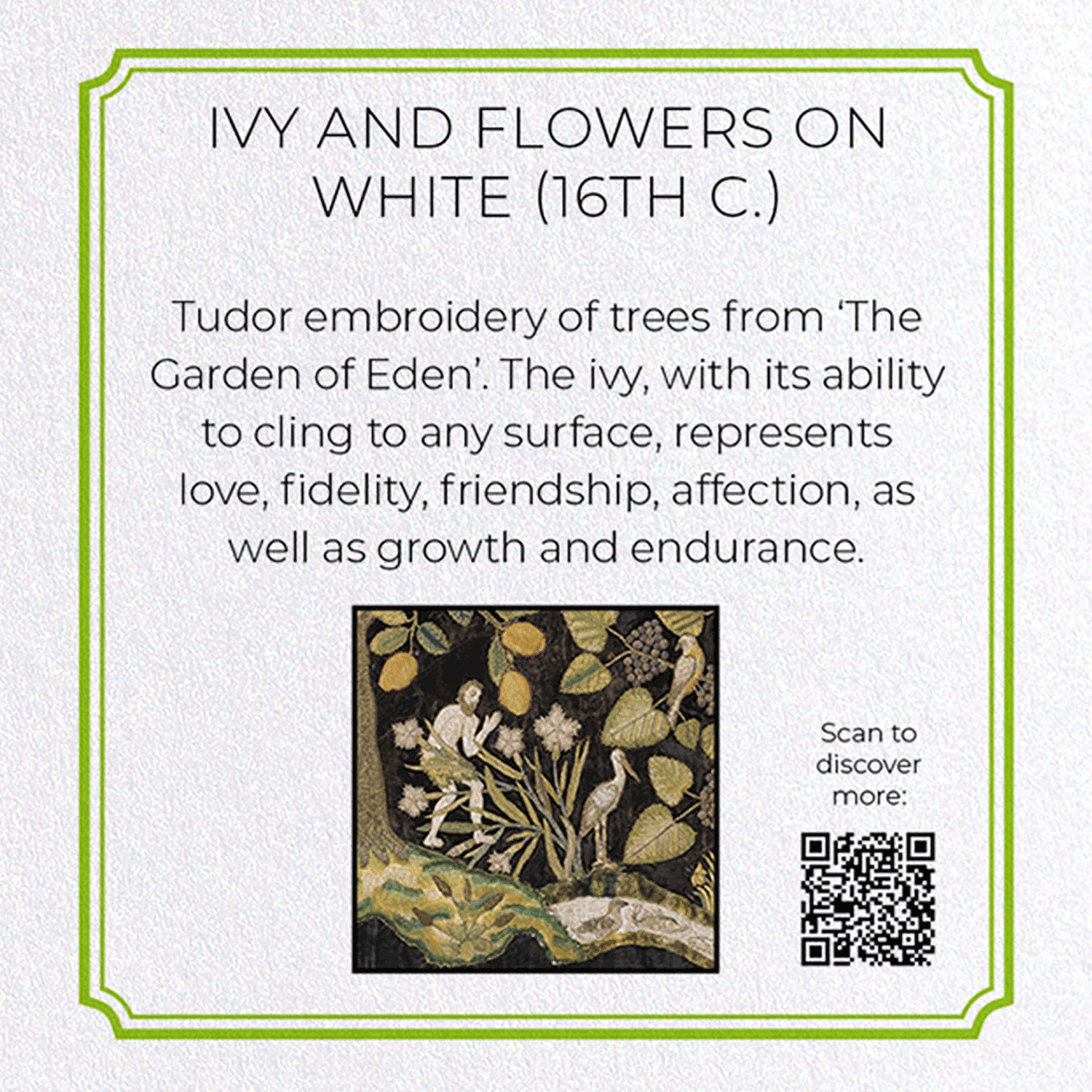 IVY AND FLOWERS ON WHITE (16TH C.)