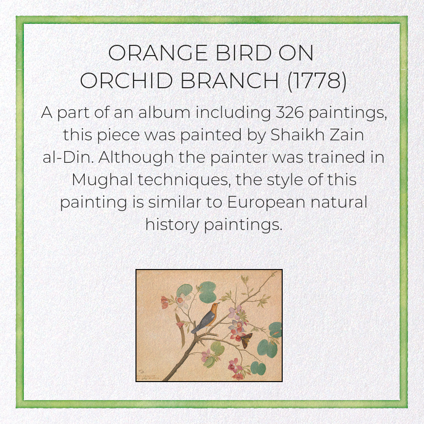 ORANGE BIRD ON ORCHID BRANCH (1778)