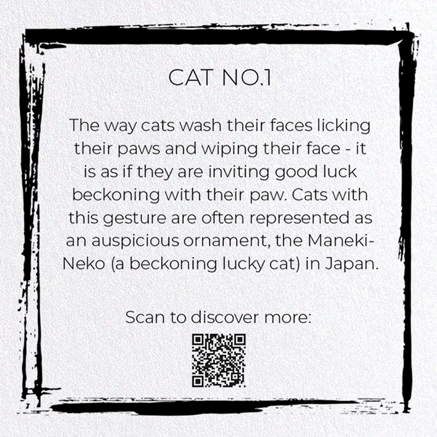 CAT NO.1