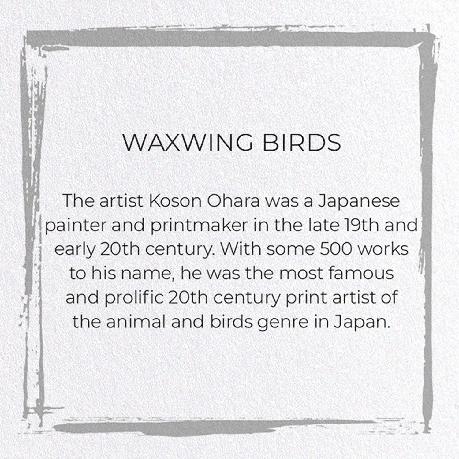 WAXWING BIRDS