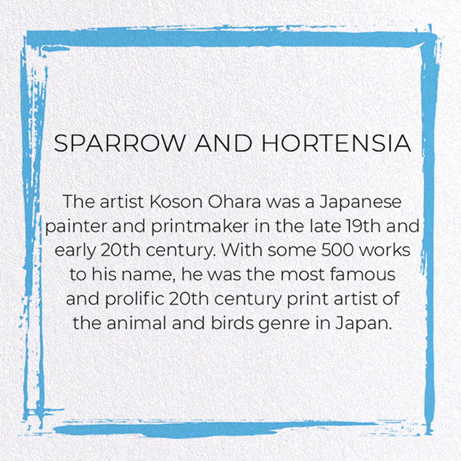SPARROW AND HORTENSIA