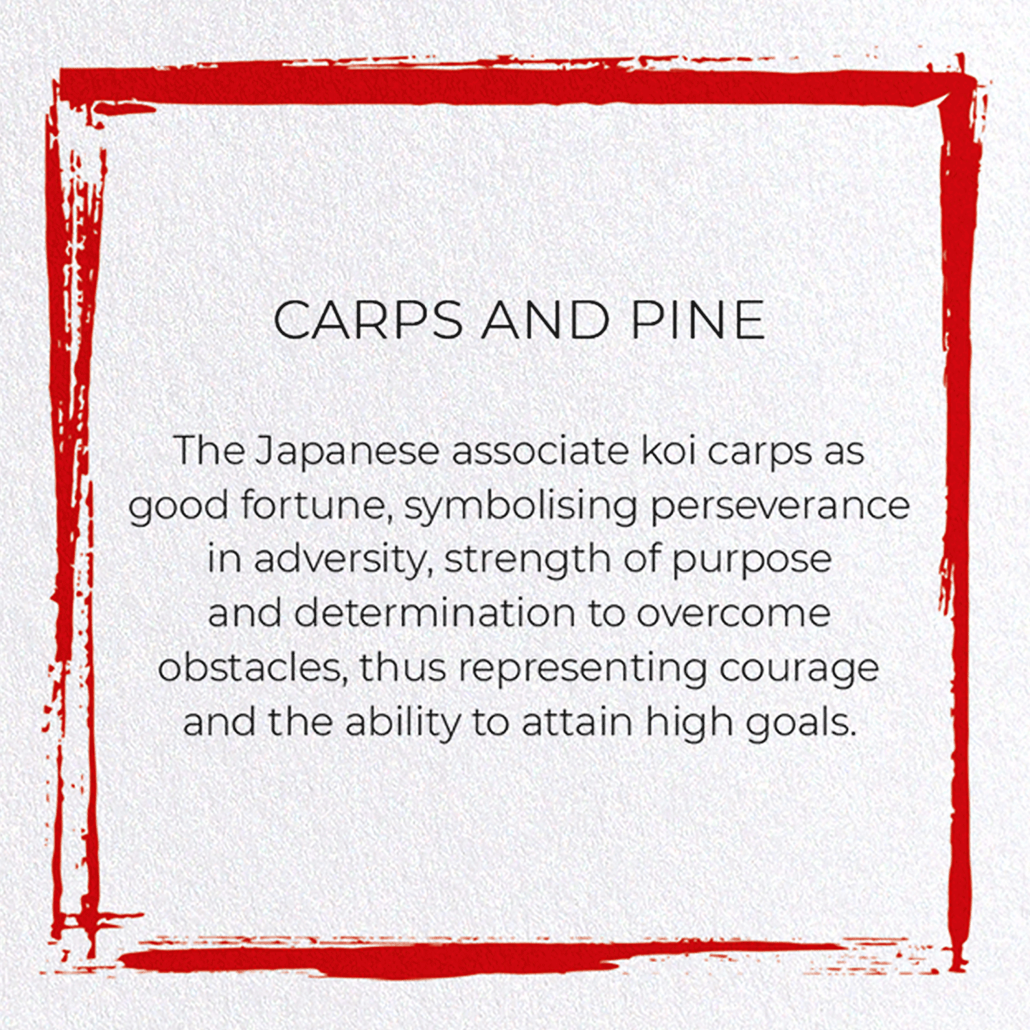 CARPS AND PINE
