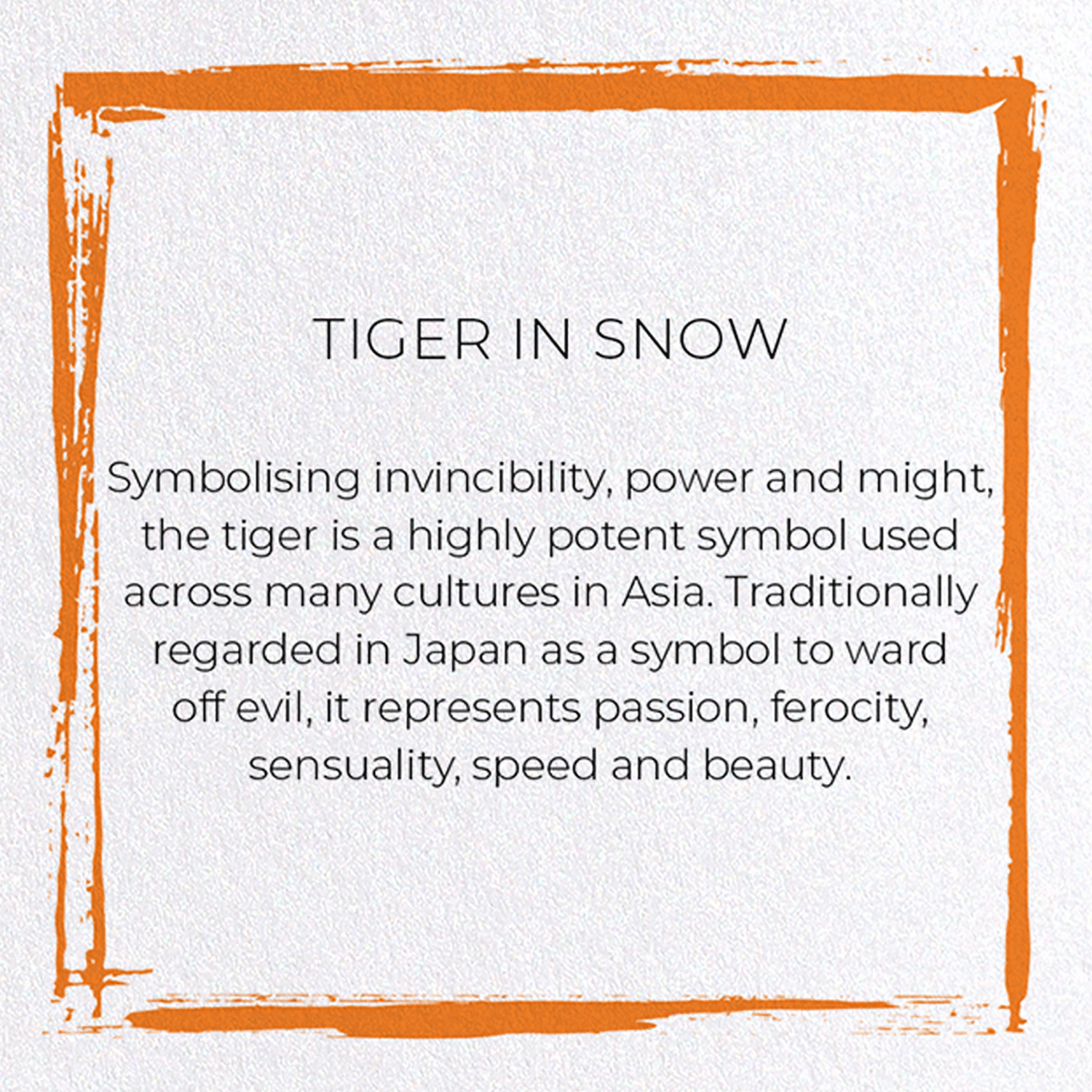 TIGER IN SNOW