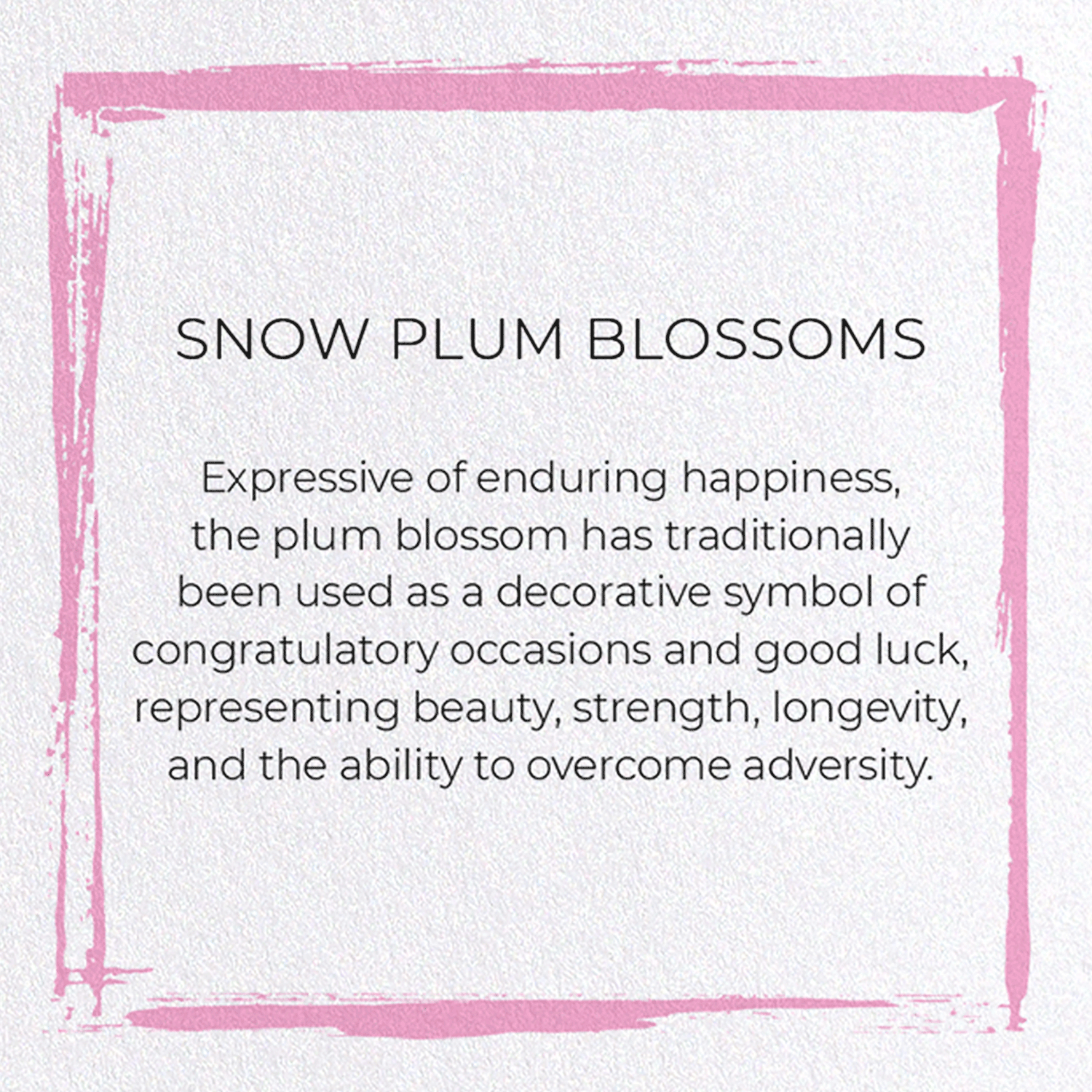SNOW PLUM BLOSSOMS