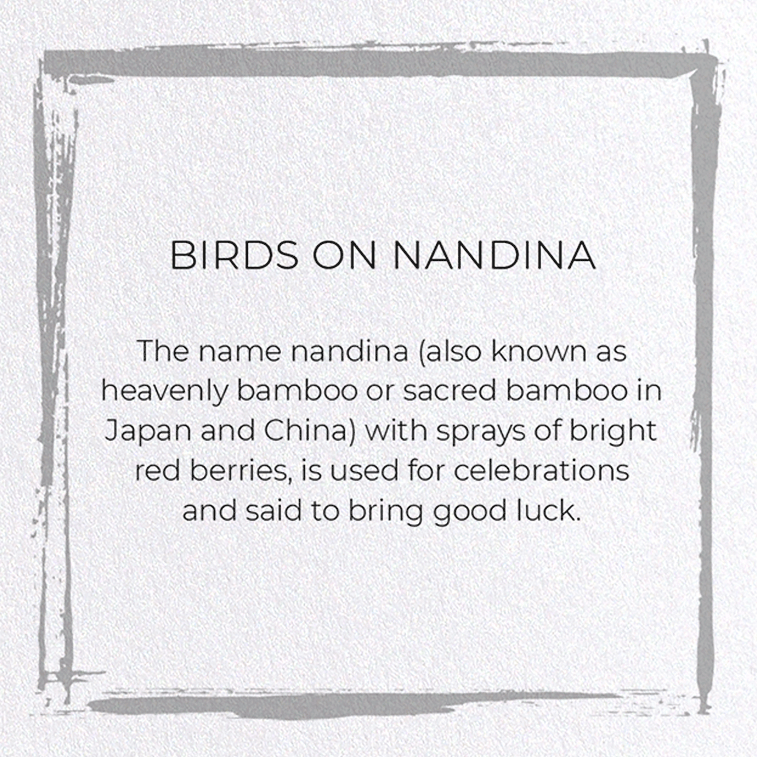 BIRDS ON NANDINA