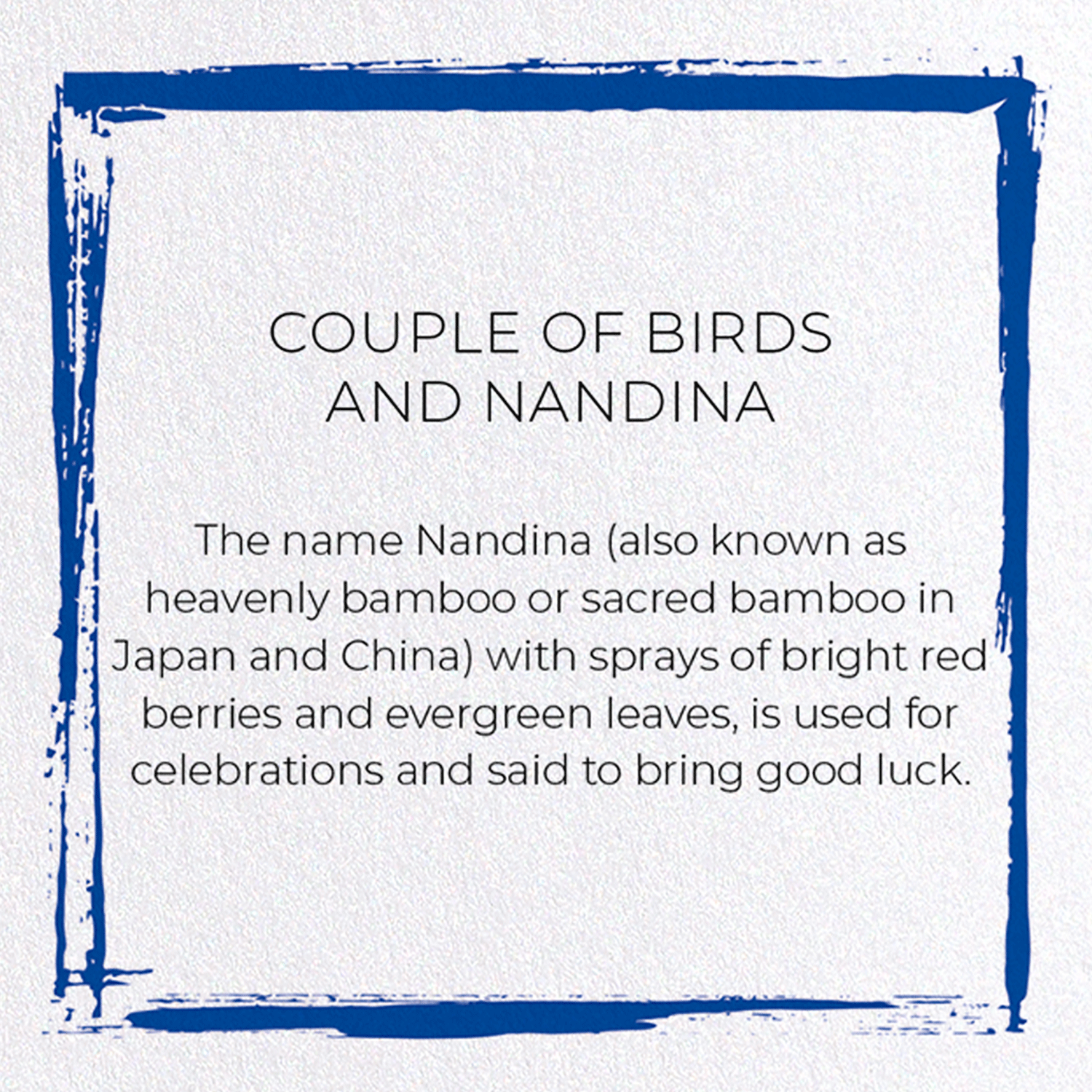 COUPLE OF BIRDS AND NANDINA