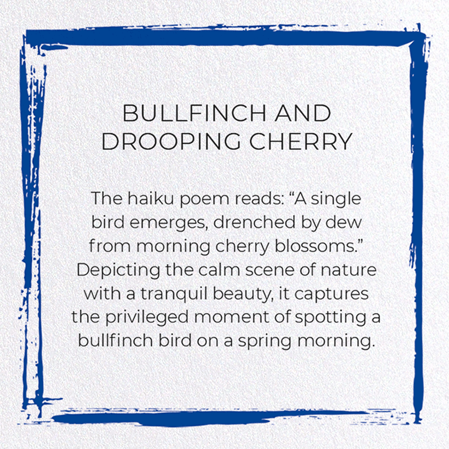 BULLFINCH AND DROOPING CHERRY