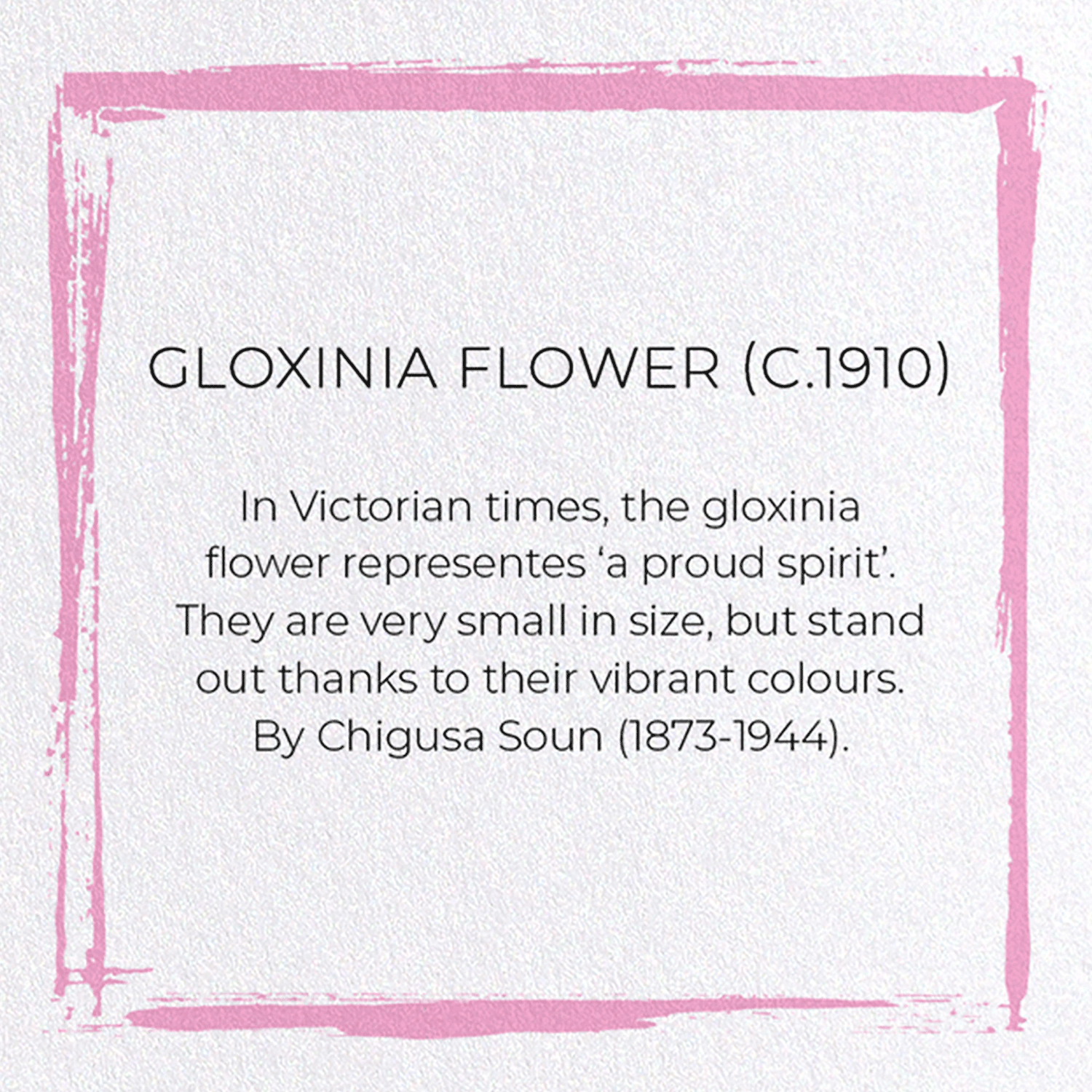 GLOXINIA FLOWER (C.1910)