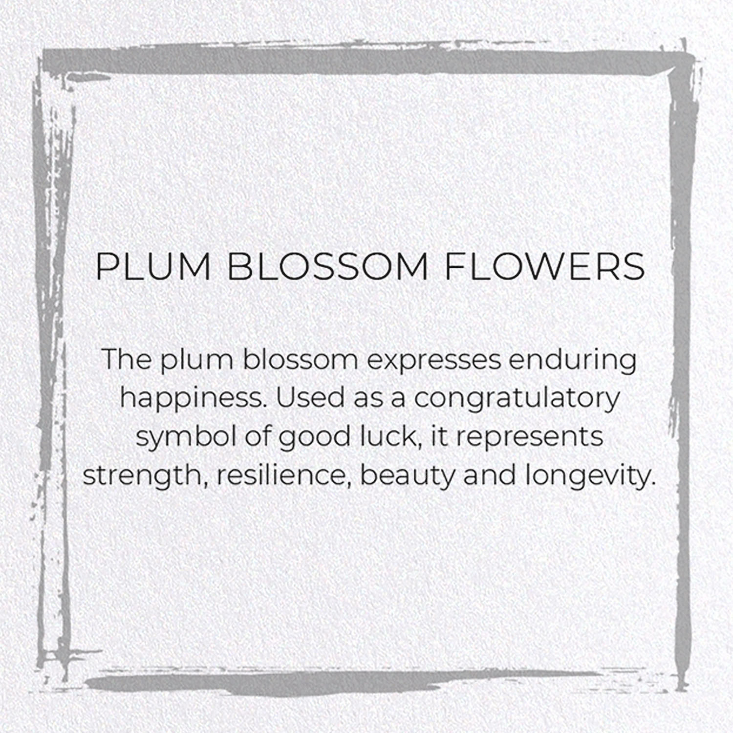 PLUM BLOSSOM FLOWERS