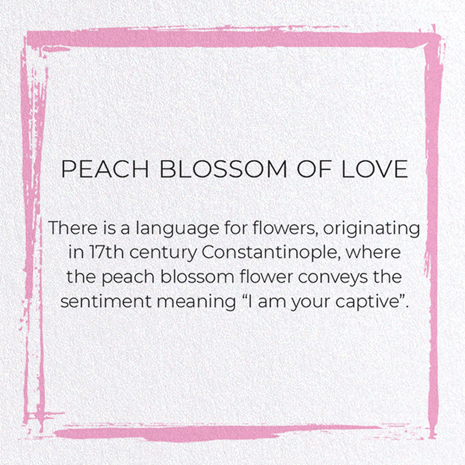 PEACH BLOSSOM OF LOVE