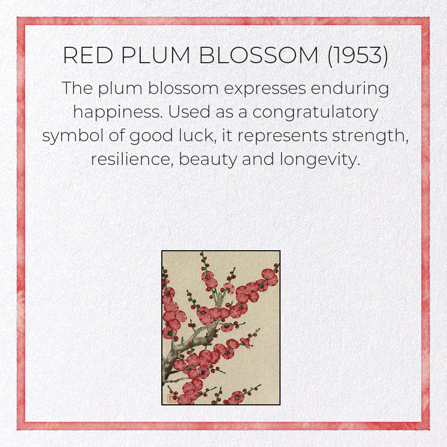 RED PLUM BLOSSOM (1953)