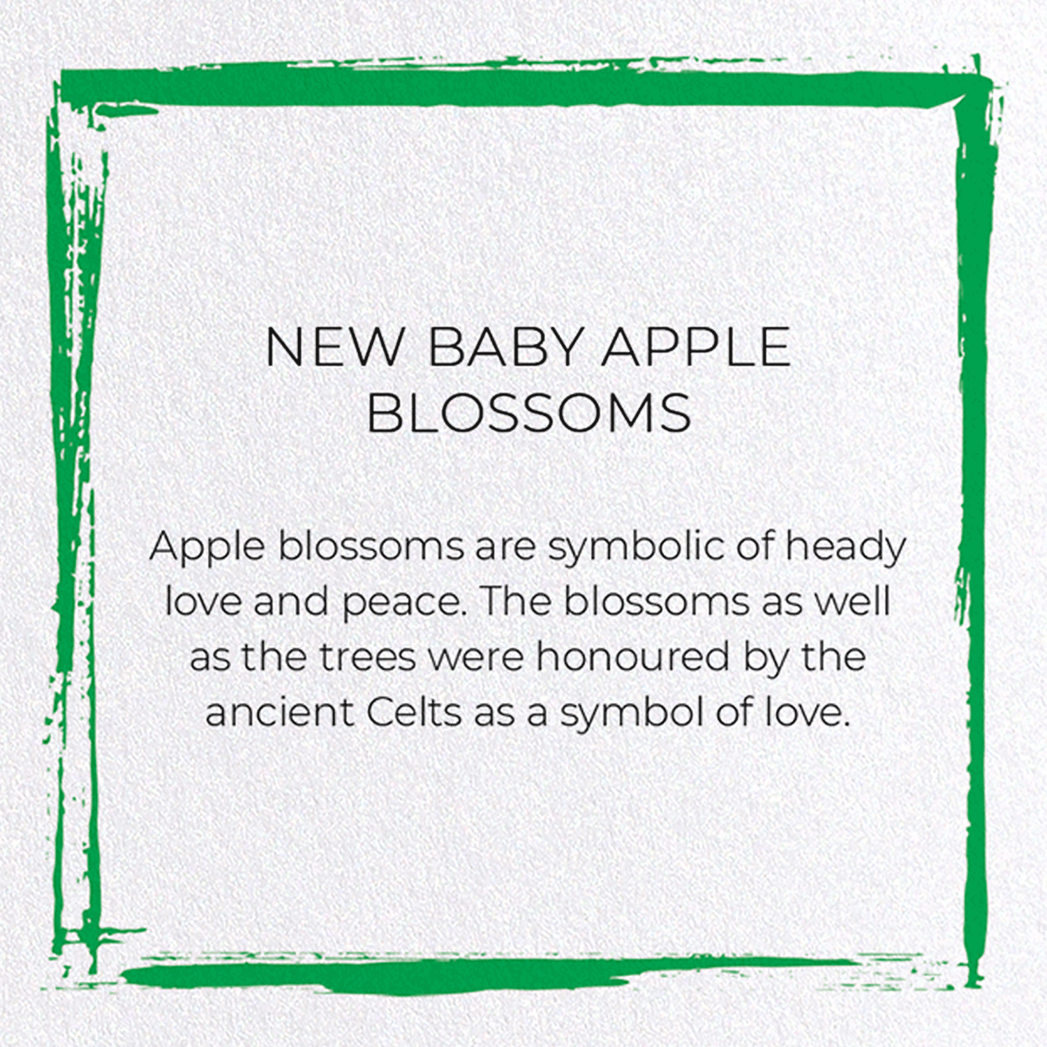 NEW BABY APPLE BLOSSOMS