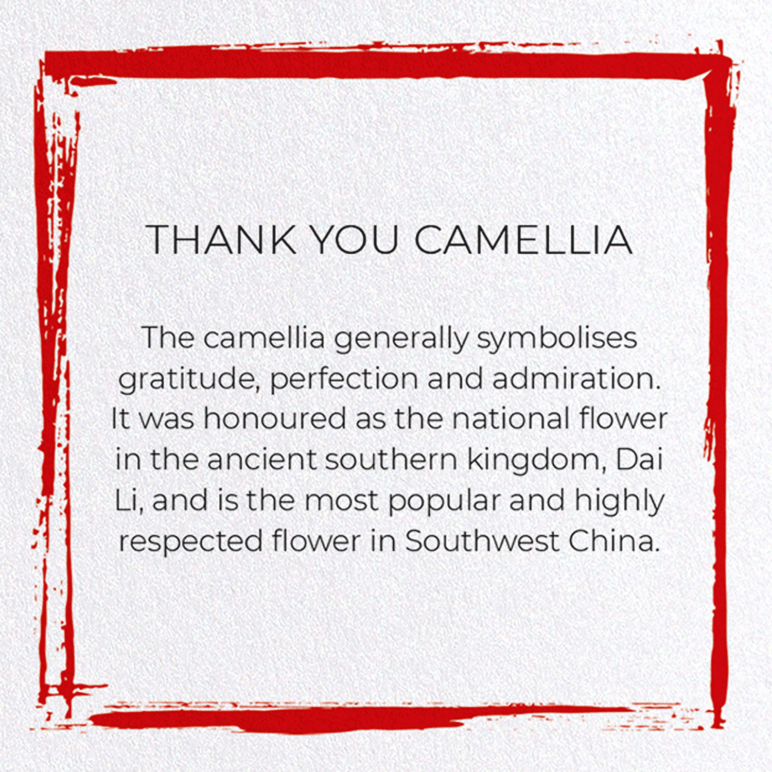 THANK YOU CAMELLIA