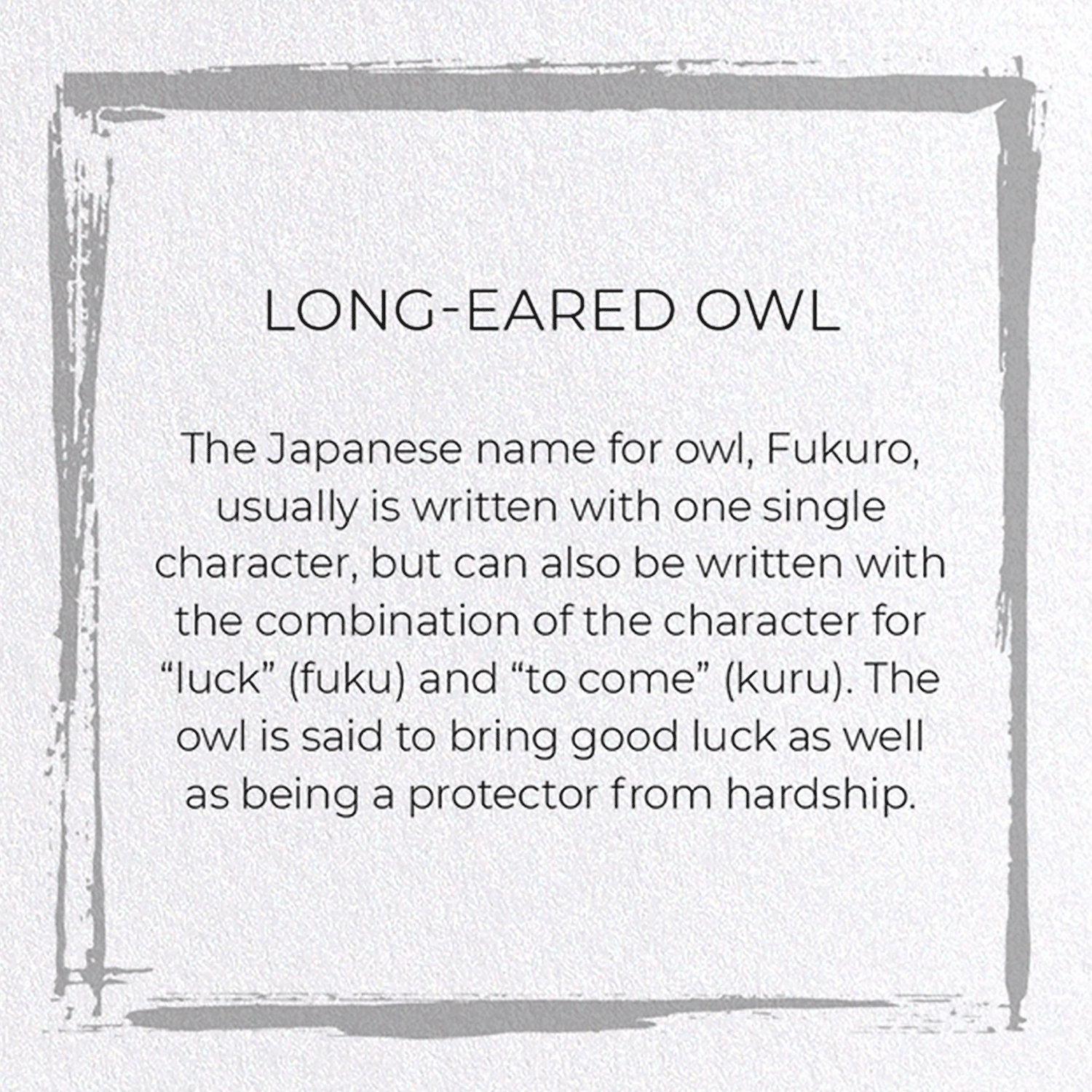 LONG-EARED OWL