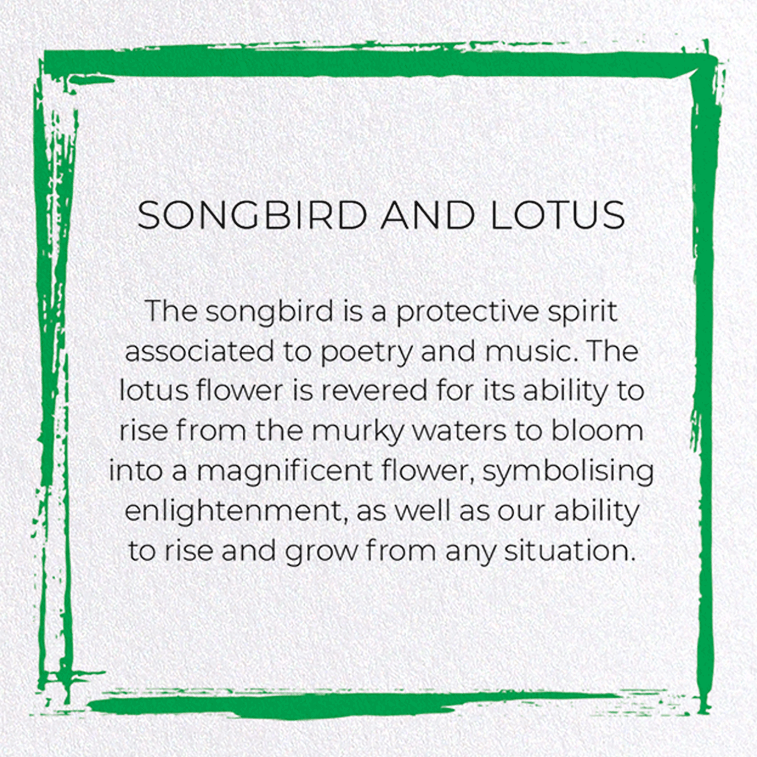 SONGBIRD AND LOTUS