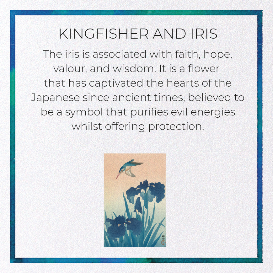 KINGFISHER AND IRIS