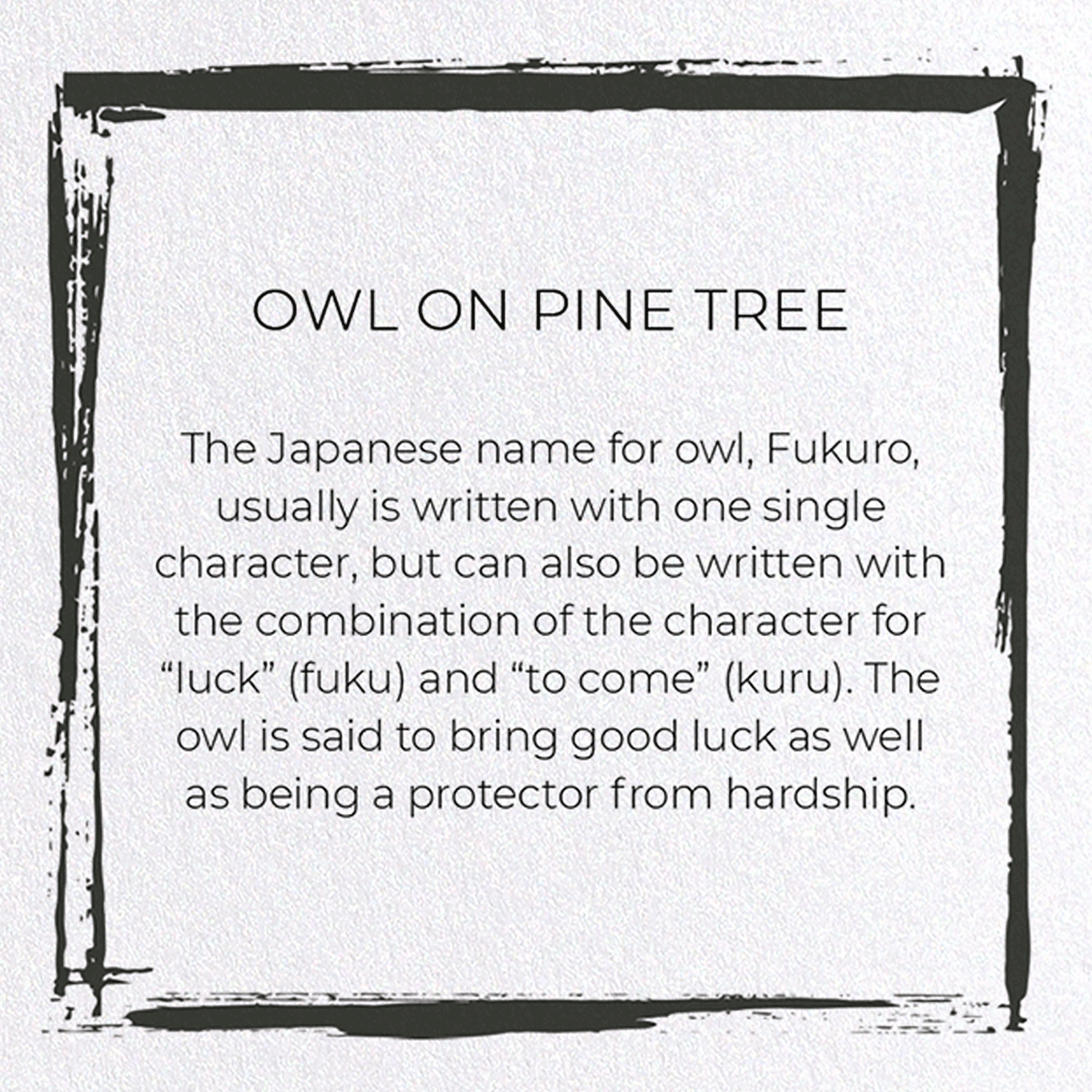 OWL ON PINE TREE