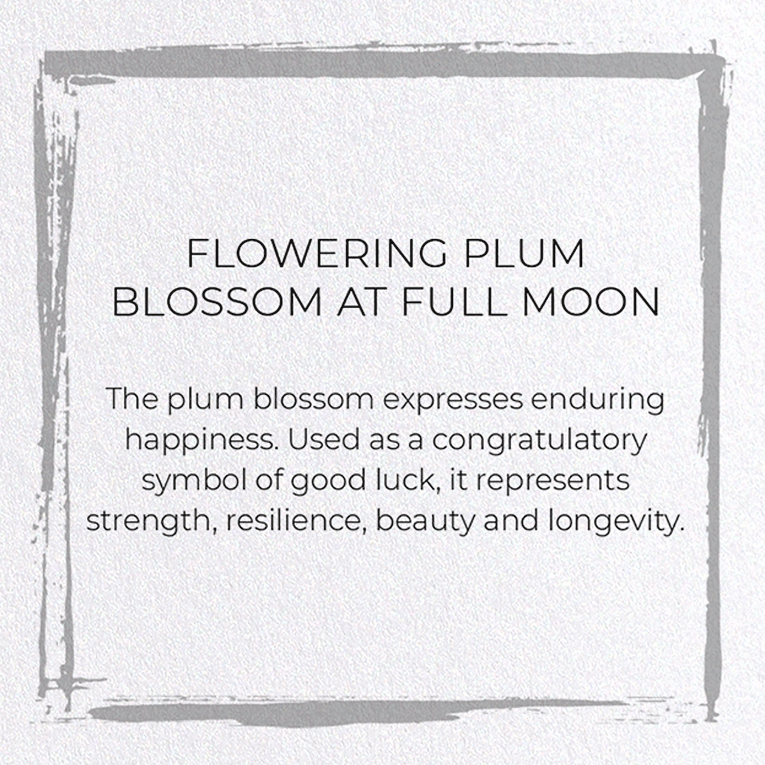 FLOWERING PLUM BLOSSOM AT FULL MOON
