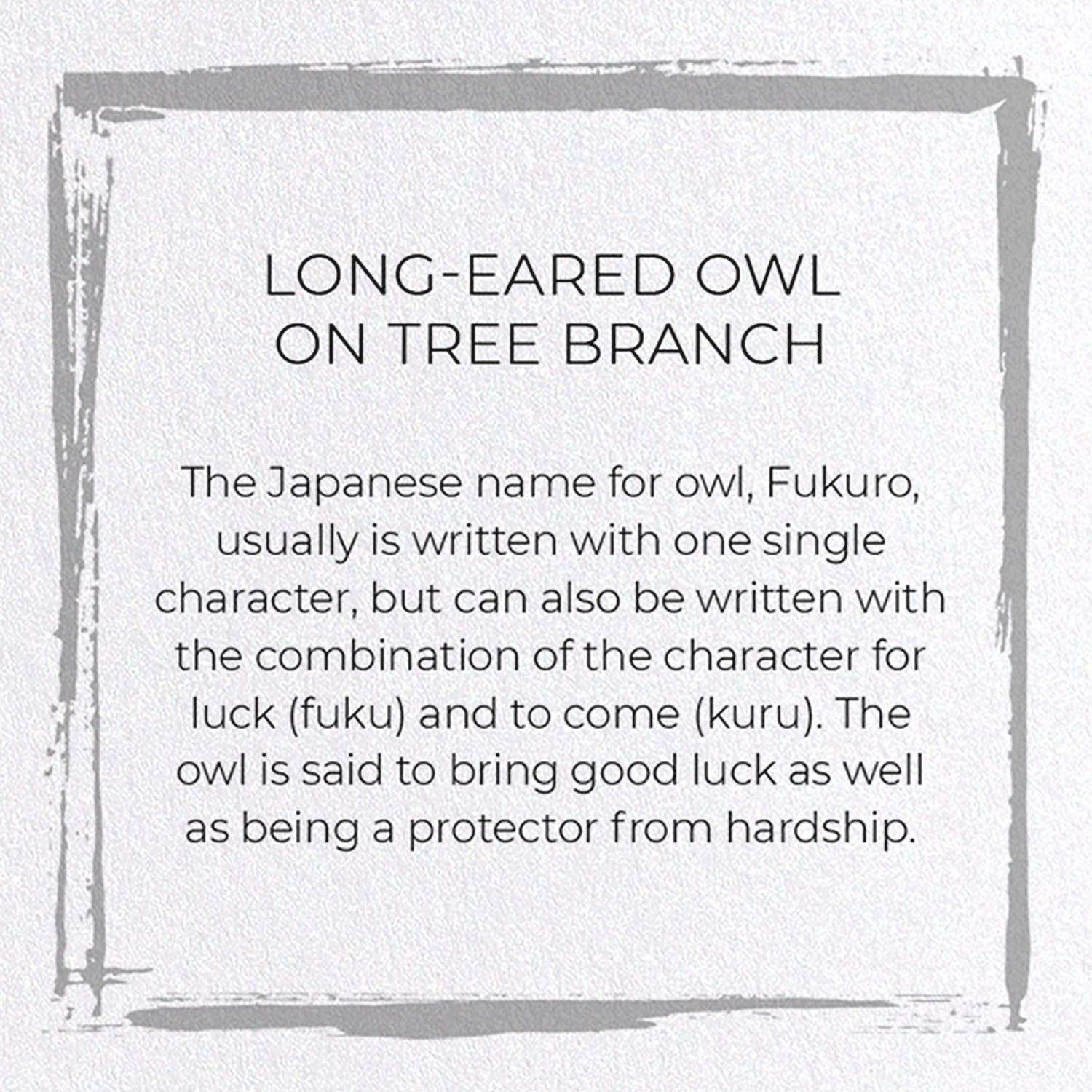 LONG-EARED OWL ON TREE BRANCH